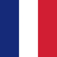 Naklejka premium Official national flag of French part Saint Martin
