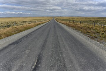 Road through the pampas of Tierra del Fuego, Tierra del Fuego, from Porvenier to Ushuaia, Argentina, South America