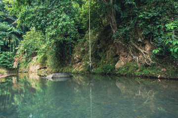 Water Flowing Around Rocks in a Forest River