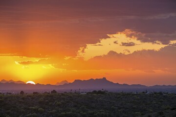 Sonora Desert at sunset, Saguaro National Park, Tucson, Arizona, USA, North America
