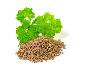 Petersiliensamen vor weißem Hintergrund