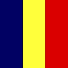 Official national flag of Chad