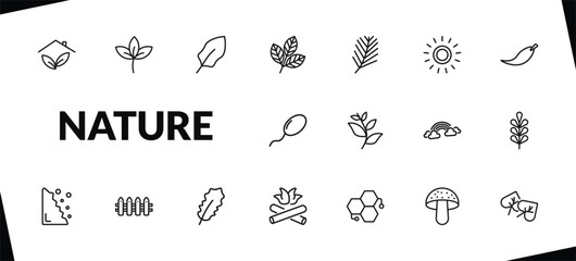 outline nature icons set. editable linear straberry leaf, magnolia leaf, rowan leaf, and other 15 icons in this category isolated on transparent background.
