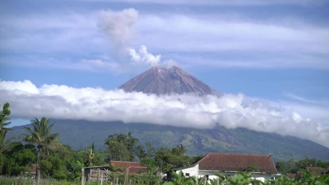 mount seamer
