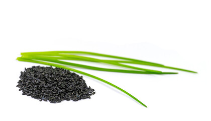 Schnittlauchsamen vor weißem Hintergrund