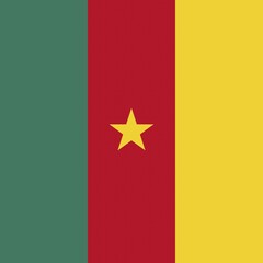 Official national flag of Cameroon
