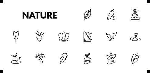 outline nature icons set. editable linear yucca, fasciculate, obcordate, and other 12 icons in this category isolated on transparent background.