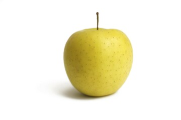 Apple (Malus)