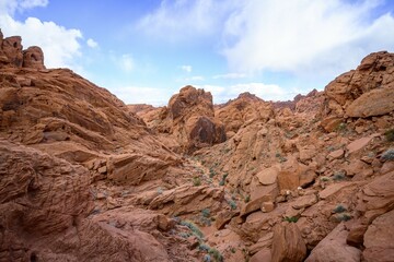 Rainbow Vista Trail, red sandstone rocks, Mojave desert, sandstone formation, Valley of Fire State Park, Nevada, USA, North America