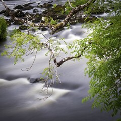Rapids on a smal river in ireland