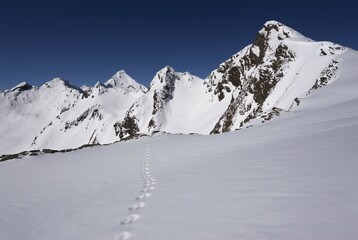 Snow tracks, view of the Zischgeles peak, Stubai Alps, Tyrol, Austria, Europe