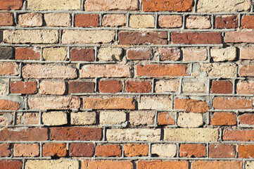 The photo shows a close-up of a brick wall