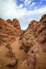Rainbow Vista Trail, red sandstone rocks, Mojave desert, sandstone formation, Valley of Fire State Park, Nevada, USA, North America