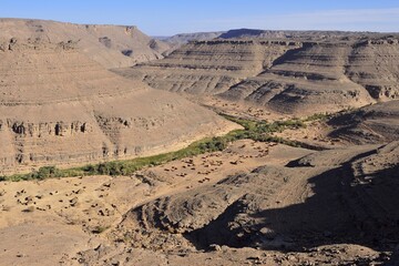 View over Idaran village and Canyon, Iherir, Tassili N´Ajjer National Park, Unesco World Heritage Site, Sahara desert, Algeria, Africa