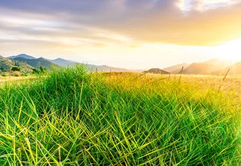 Fotobehang beautiful green valley with green fields with green spring grass with nive hills and mountains and scrnic colorful cloudy sunset on background of landscape © Yaroslav