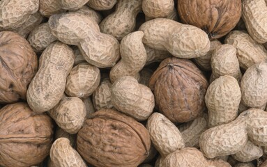 Peanuts and walnuts (Arachis hypogaea), (Juglans regia)