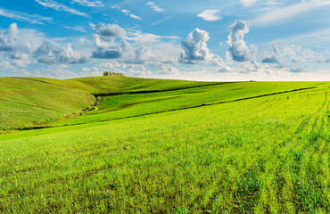 Countryside farm landscape of green field grassland in spring pr summer season with green fresh grass and beautiful sunset or sunrise cloudy sky on background