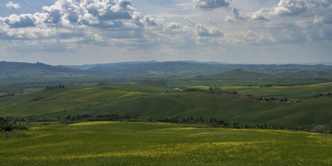 Obraz premium Hilly landscape with flowering rape, Crete Senesi, Province of Siena, Tuscany, Italy, Europe