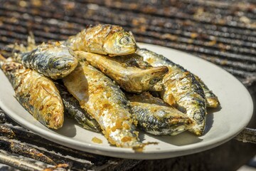 Barbecued sardines, traditional Portuguese food, Porto, Portugal, Europe