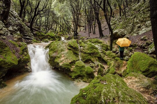 Torrent des Freu, valle de Coanegra, Orient, Mallorca, balearic islands, Spain, Europe