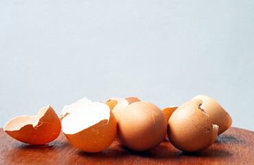 a bunch of chicken egg shells