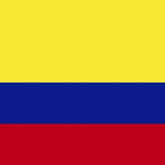 Official national flag of Colombia