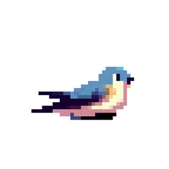 Obraz premium Pixel art illustration of cute little bird on white background