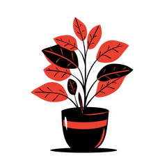 Stylish Indoor Plant in Black Pot with Vibrant Orange Leaves