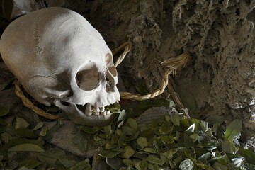 Skull of mummy with offering of coca leaves, Devil's Den, Cueva del Diablo, Uyuni, Bolivia, South America