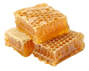 honeycomb and honey isolated on transparent background PNG image
