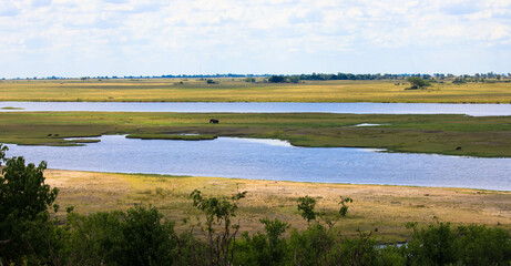 Beautiful panoramic views from the Chobe floodplains. Seen on a safari in one of Africa's largest national parks.
Botswana, Africa. Tourism and vacation concept.