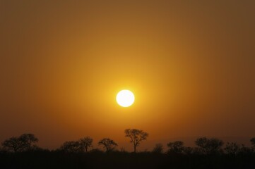 Sunset over Savannah, Kruger National Park, South Africa, Africa