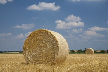 Stubble field with straw bales, harvested cornfield in summer, near Meissen, Saxony, Germany, Europe