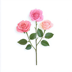 Naklejka premium A bouquet of roses, romantic Valentine’s Day flowers, watercolor painting, soft pastel tones, isolated on white background