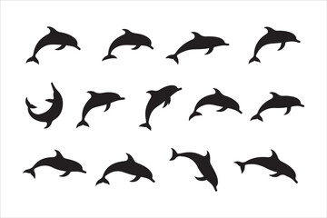 Obraz premium Majestic Dolphin Silhouette Mega 