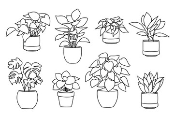 Set of plant in pot hand drawn vector illustrations house plant, home decoration