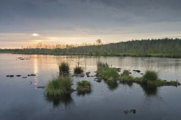 Obraz premium Moorland at dawn, Emsland, Lower Saxony, Germany, Europe