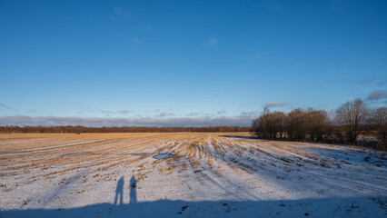 Aerial sunny winter landscape with large field, far forest under blue sky with white clouds....