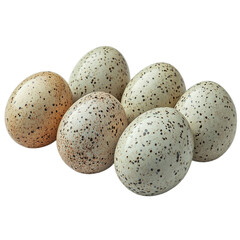 Obraz premium Quail Eggs on Transparent Background