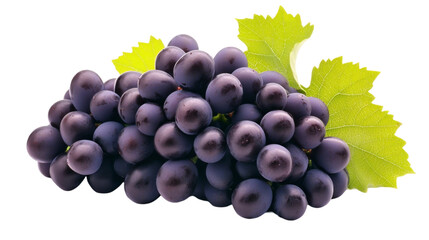 Fototapeta premium Close Up of a Cluster of Dark Purple Grapes with Green Leaves on