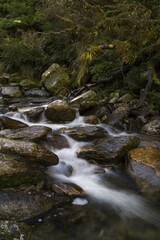 Mountain stream by the Copland Track, West Coast, South Island, New Zealand, Oceania