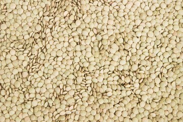 Dried Lentils as background