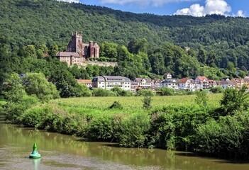 Obraz premium Mittelburg castle, near Neckarsteinach, Hesse, Germany, Europe