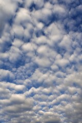 Large fleecy clouds (altocumulus), Bavaria, Germany, Europe