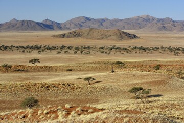 Dry grasslands in front of ridges, Gondwana Namib Park, near Sesriem, Hardap Region, Namibia, Africa