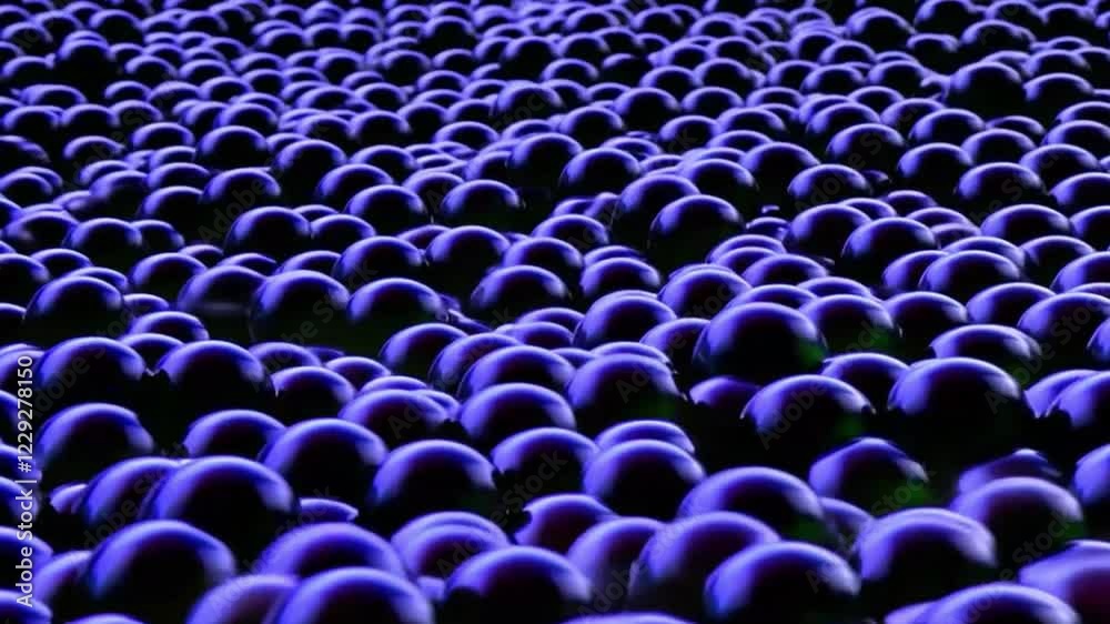 Wall mural create a mesmerizing animation of black balls filling the space, moving rhythmically in wave pattern