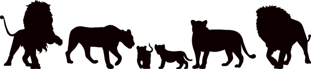 lion family black silhouette vector