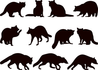 raccoons in different poses set black silhouette vector