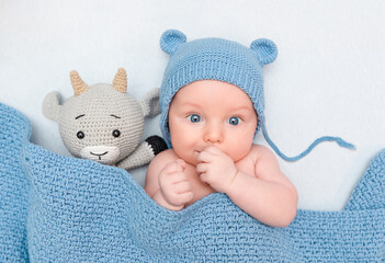 cute baby in hat with ears lies under blanket with knitted toy goat, top view