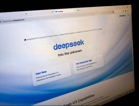 photo of chinese ai company deepseek website
